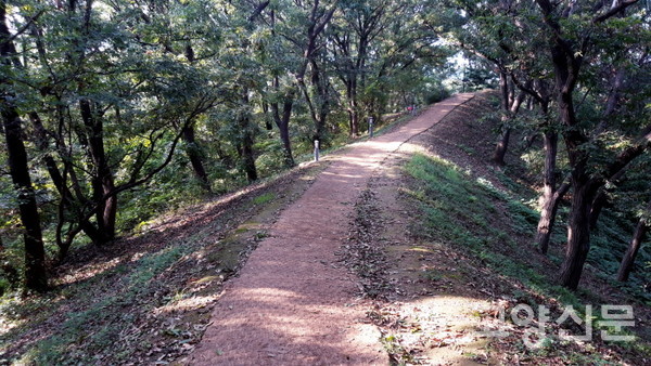 65135_81058_4126.jpg
