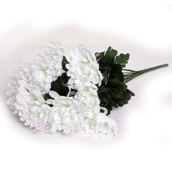 image01456.png