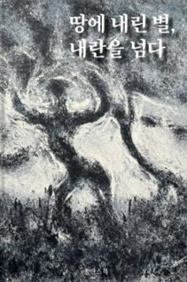 땅에 내린 별.png