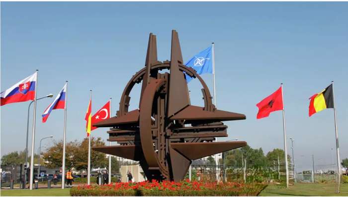 나토.png.jpg
